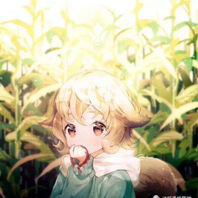 以色列剧本被撕了